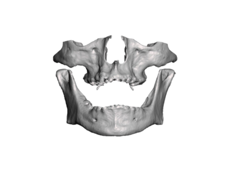 Portfolio Image